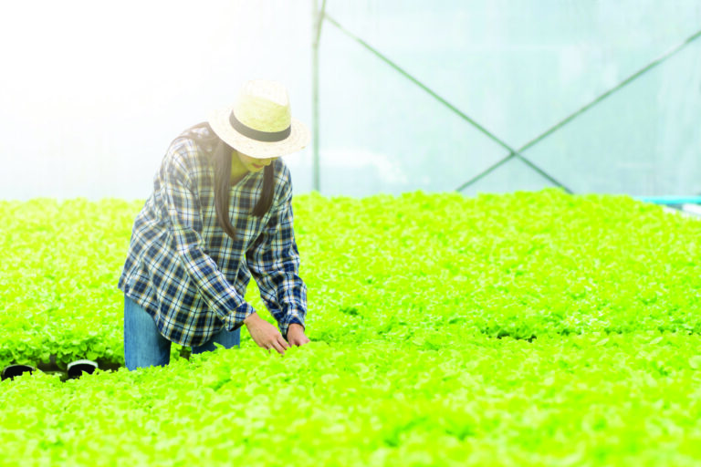 Worman-Working-in-Greenhouse-scaled