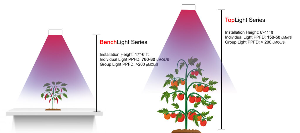 TopLight VS Bench Light