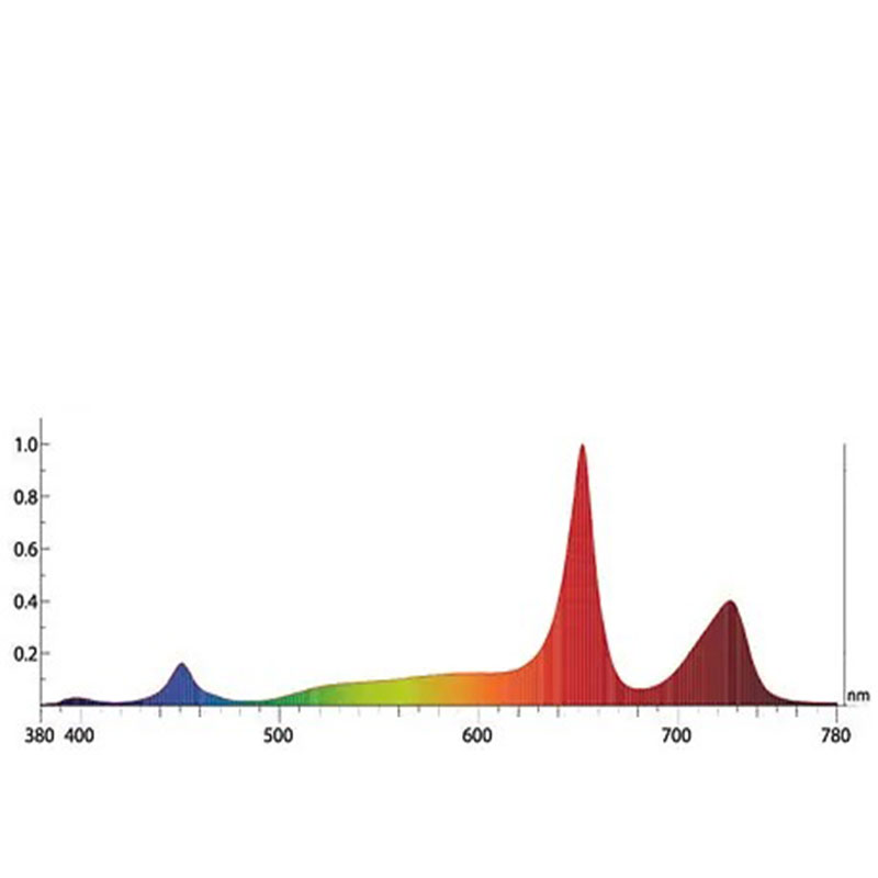 HP Model Spectrum Graph