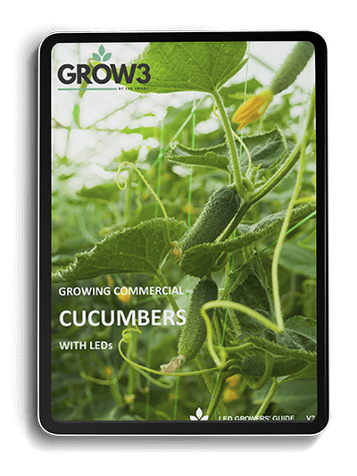 Growing Commercial cucumbers with LED's
