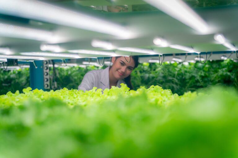 Hydroponic Greens Female Workers