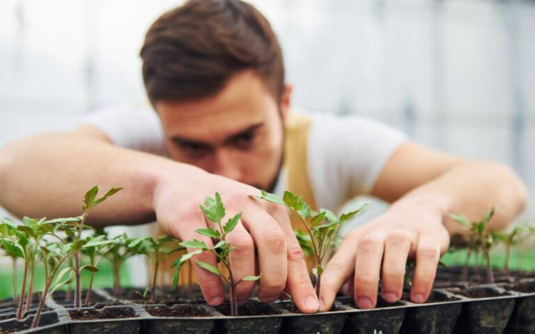 How Can LED Grow Lights Reduce Plant Stress and Improve Health