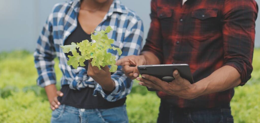 Increasing Vegetable Quality with Advanced Lighting: What Growers Need to Know